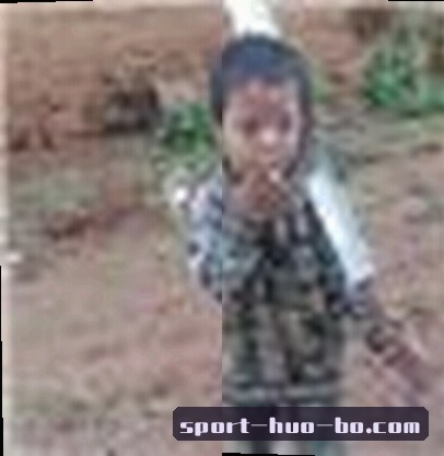 张董